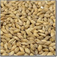 Thomas Fawcett Vienna Malt Whole Grain 500g