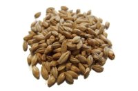 Thomas Fawcett Munich Malt Whole Grain 500g