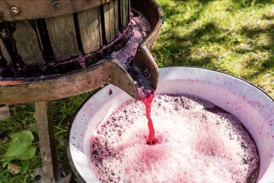 Wine Making