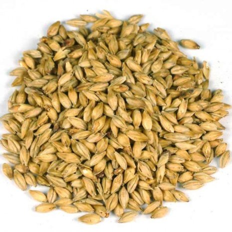 Thomas Fawcett Crystal Rye Malt Uncrushed Grain 500g