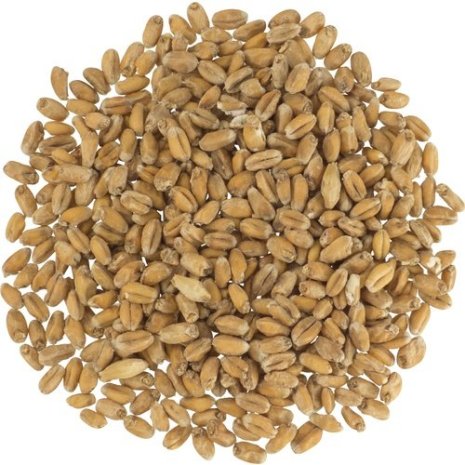 Thomas Fawcett Wheat Malt Whole Grain 500g